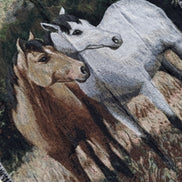 Couverture tissée / chevaux