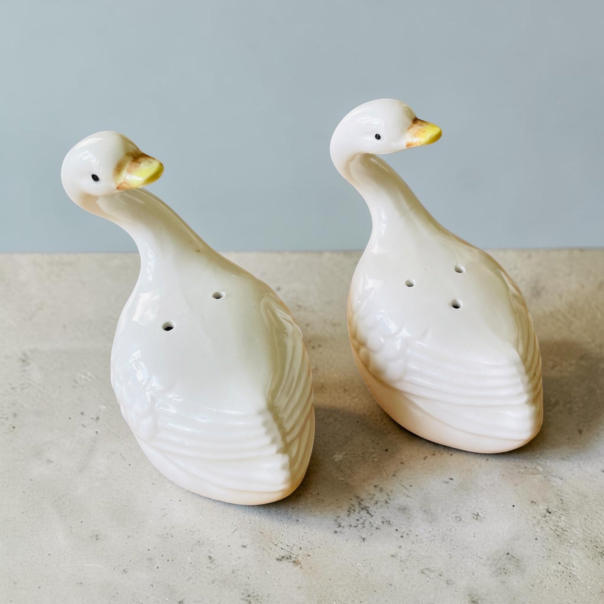 Salière / poivrière: Les cygnes