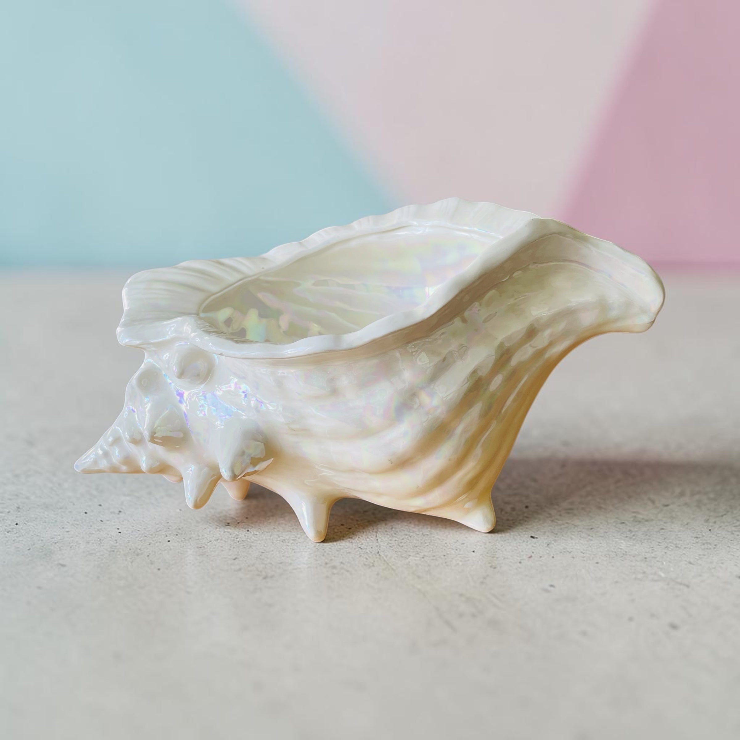 Grande jardinière coquillage