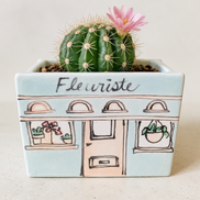 Mini jardinière / le fleuriste